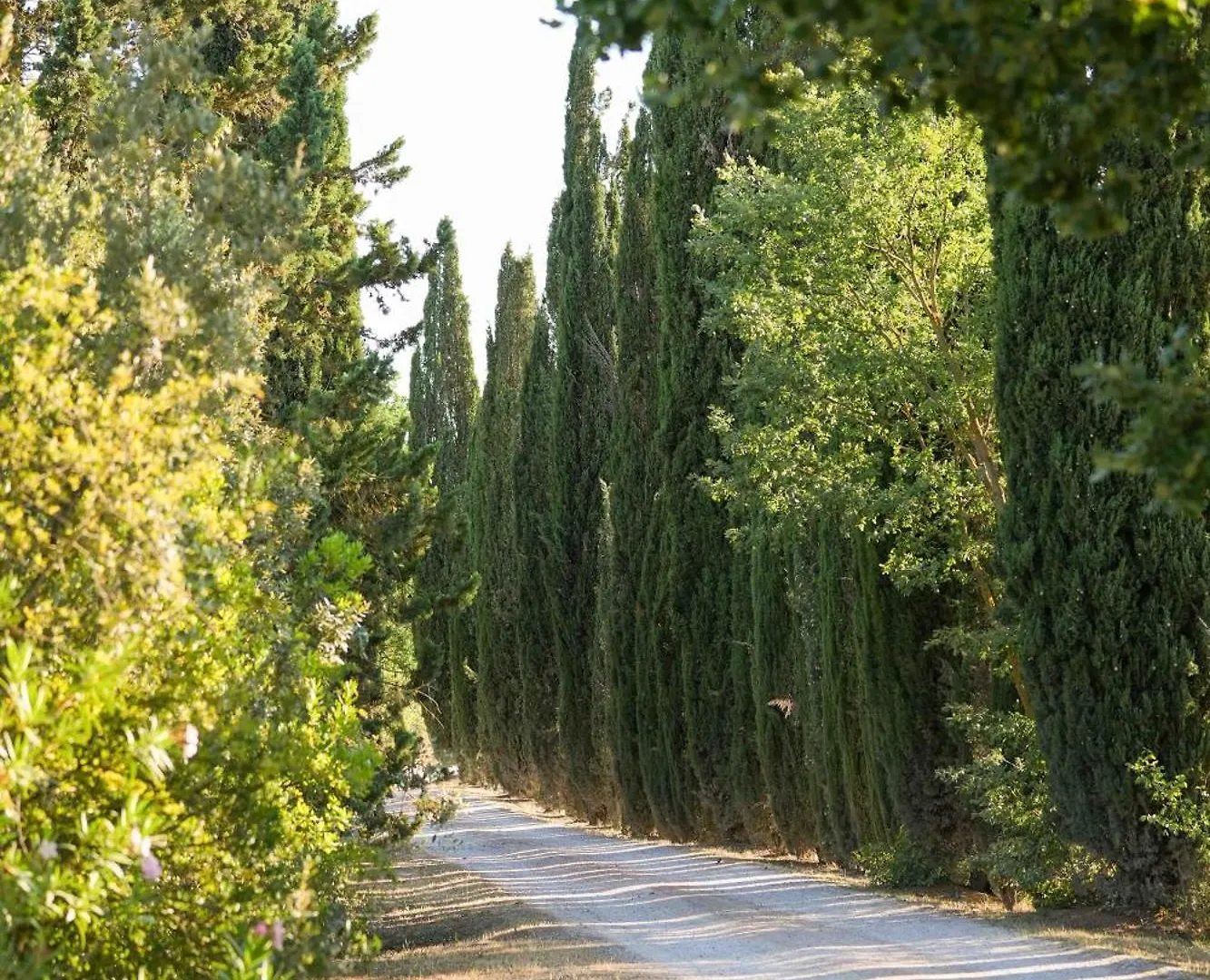 Maison d'hôtes Relais Santa Genoveffa à Civitella Paganico Séjour à la campagne