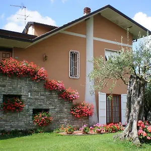 Nel Giardino Degli Ulivi Castelnuovo Magra